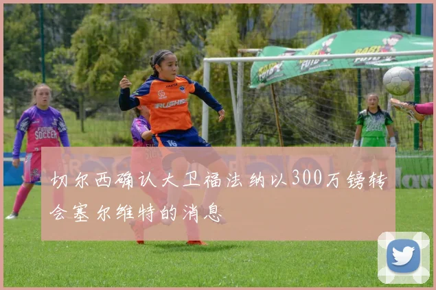切尔西确认大卫福法纳以300万镑转会塞尔维特的消息